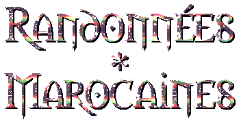 affiches